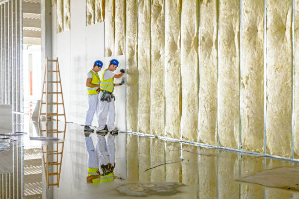 Best Geographic-Specific Insulation Services in Sanger, CA